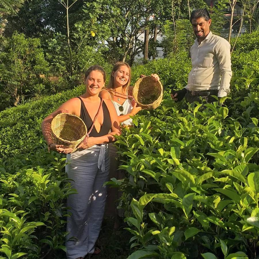 Tea Villas Ella Eksteriør bilde