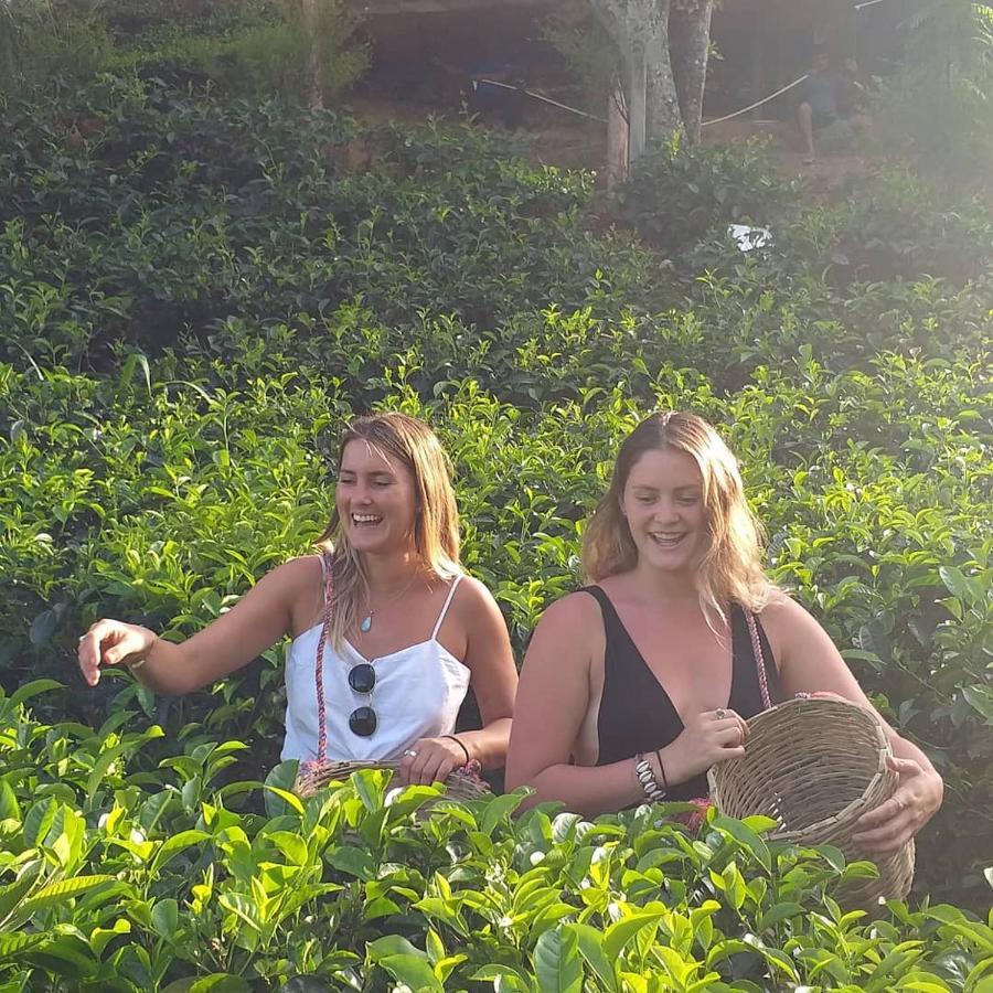 Tea Villas Ella Eksteriør bilde